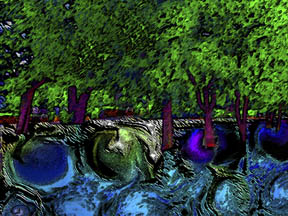Forest and rootballs abstracted from Everything IS, a visual and philosophical theory of everything by Sarah Curtiss
